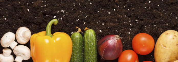 BIO frutta oriz