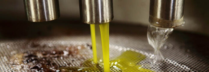 olio cab oriz
