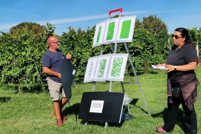 La presentazione della prova di efficacia dei prodotti naturali