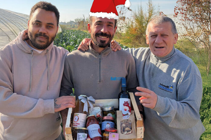 La cassetta del Podere OrtInsieme di Russi